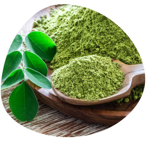 Extracto de moringa